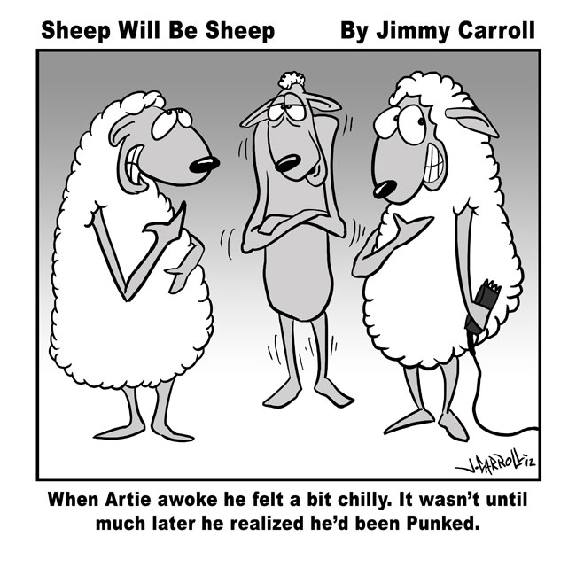Jimmy Carroll Sheep Will Be Sheep